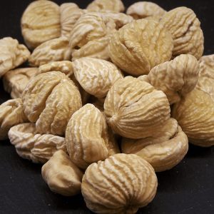Castaña Pilonga