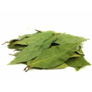Laurel en Hoja