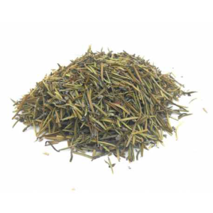 Romero en Hoja