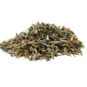 Salvia en Hoja