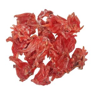 Flor de hibisco