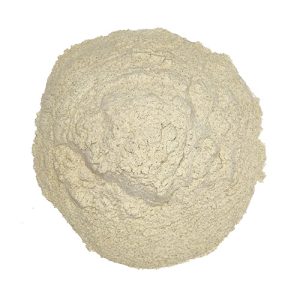 Gluten de trigo