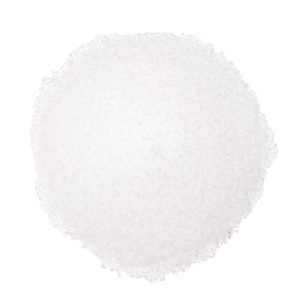 Stevia blanca