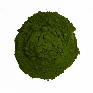 Chlorella en polvo ecológica