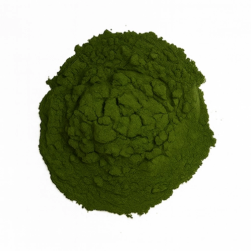 Chlorella en polvo ecológica