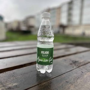 Agua Feijoo c/ Gas 12x500ml